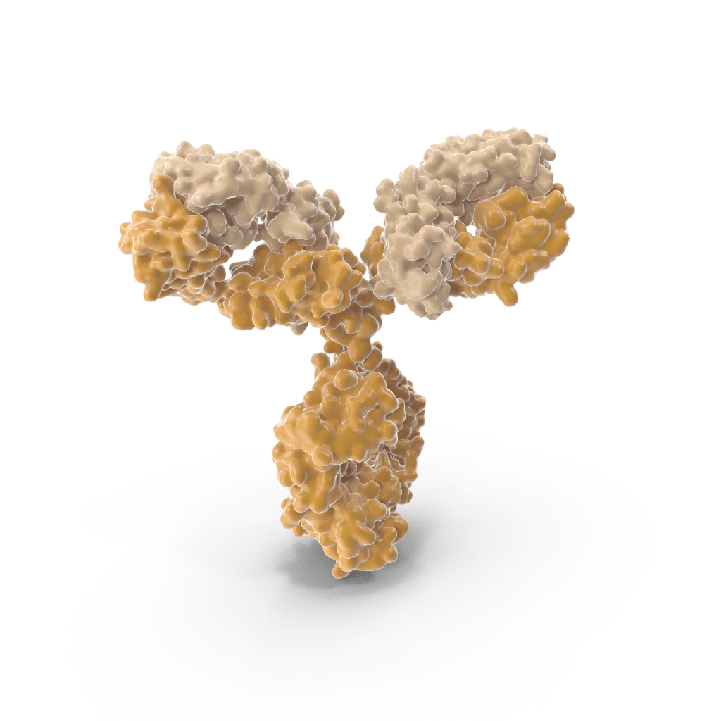 Anti 8-OHdG monoclonal Antibody (N45.1)