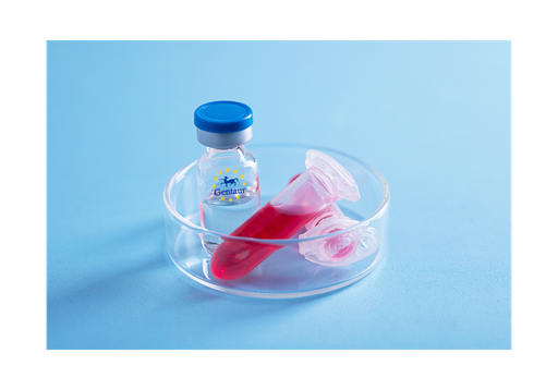 [GEN - PYT309-1mg] RELM a Mouse